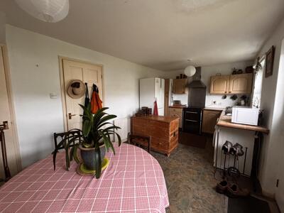Picture 13